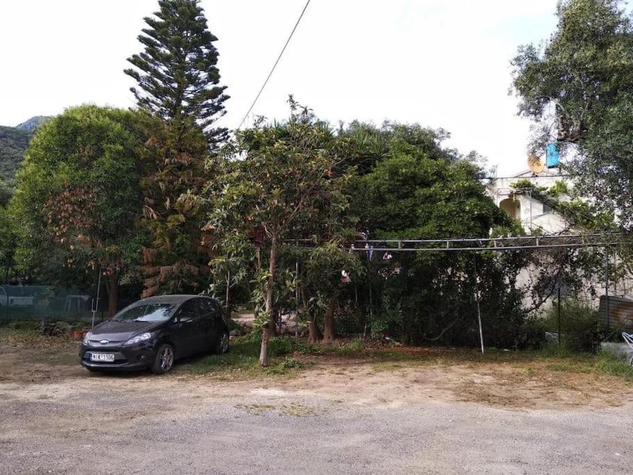 Terranova Beach Apartment - Menta Ypsos Dış mekan fotoğraf